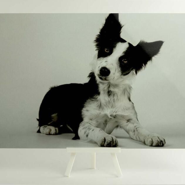 Lienzo en Aluminio Personalizable